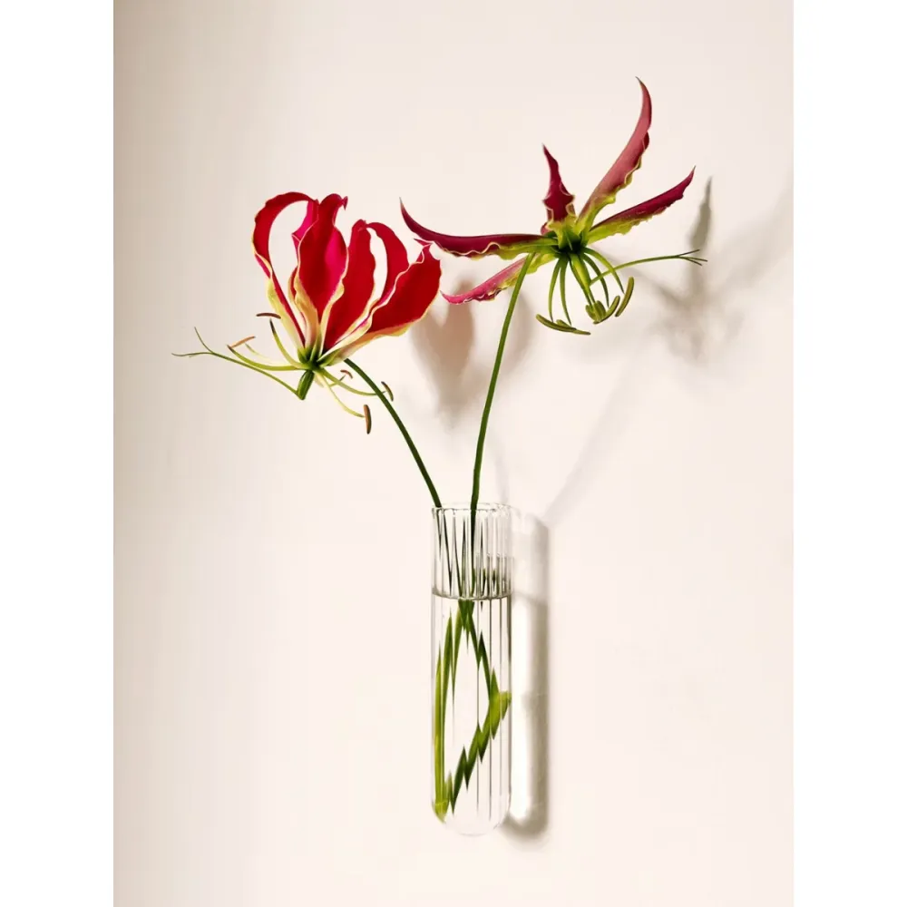 Vase Mural XL Sélectionné par Fleux