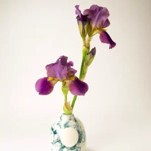 Vase-pot aquarelle sarcelle