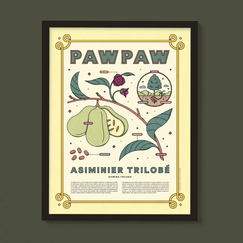 Affiche - Paw paw