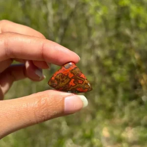 Agate Seam 13