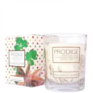 Bougie Anis Etoilé et Coriandre (Bougie parfumée)