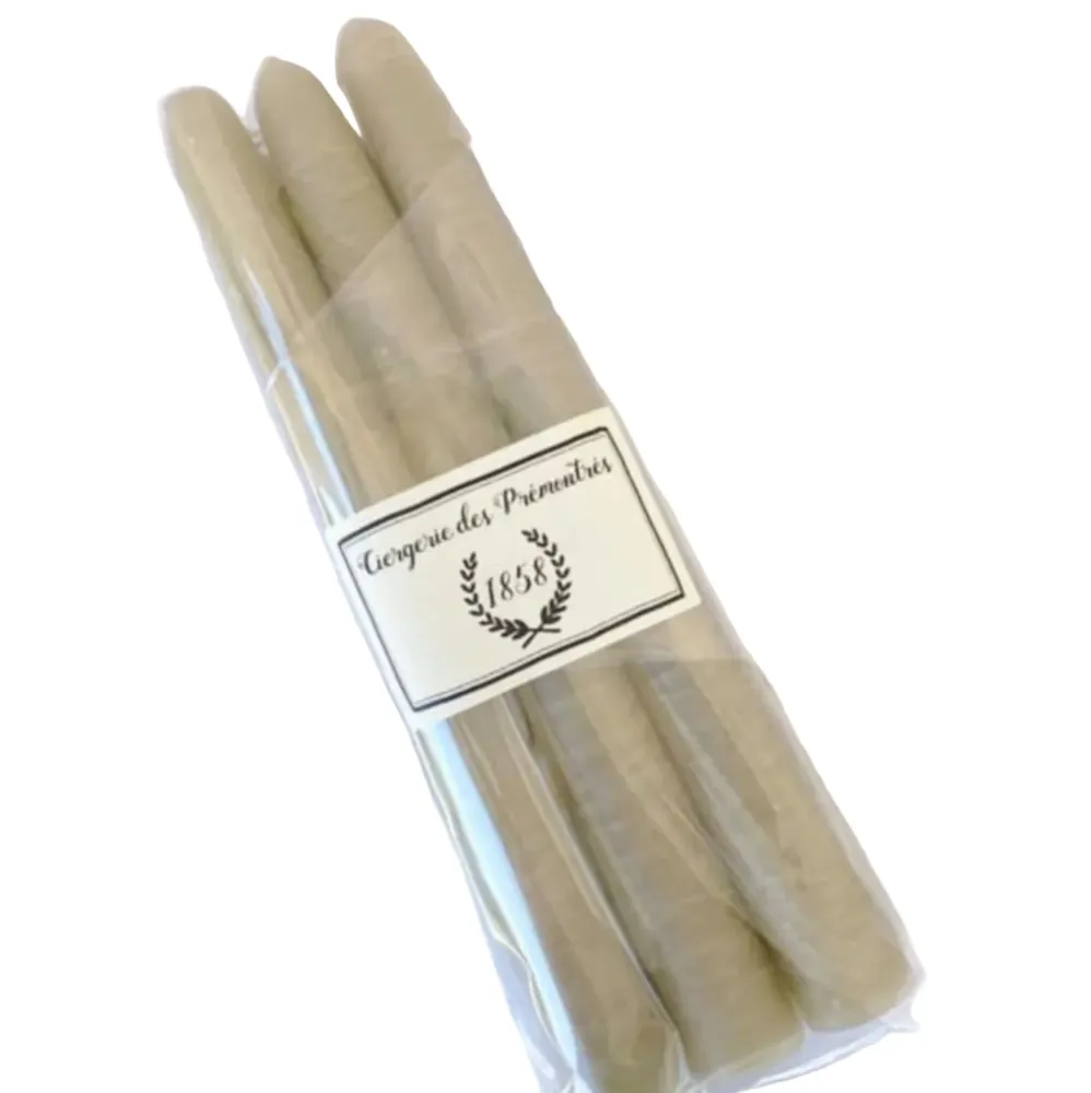 BOUGIES CONIQUES 20 CM - LIN