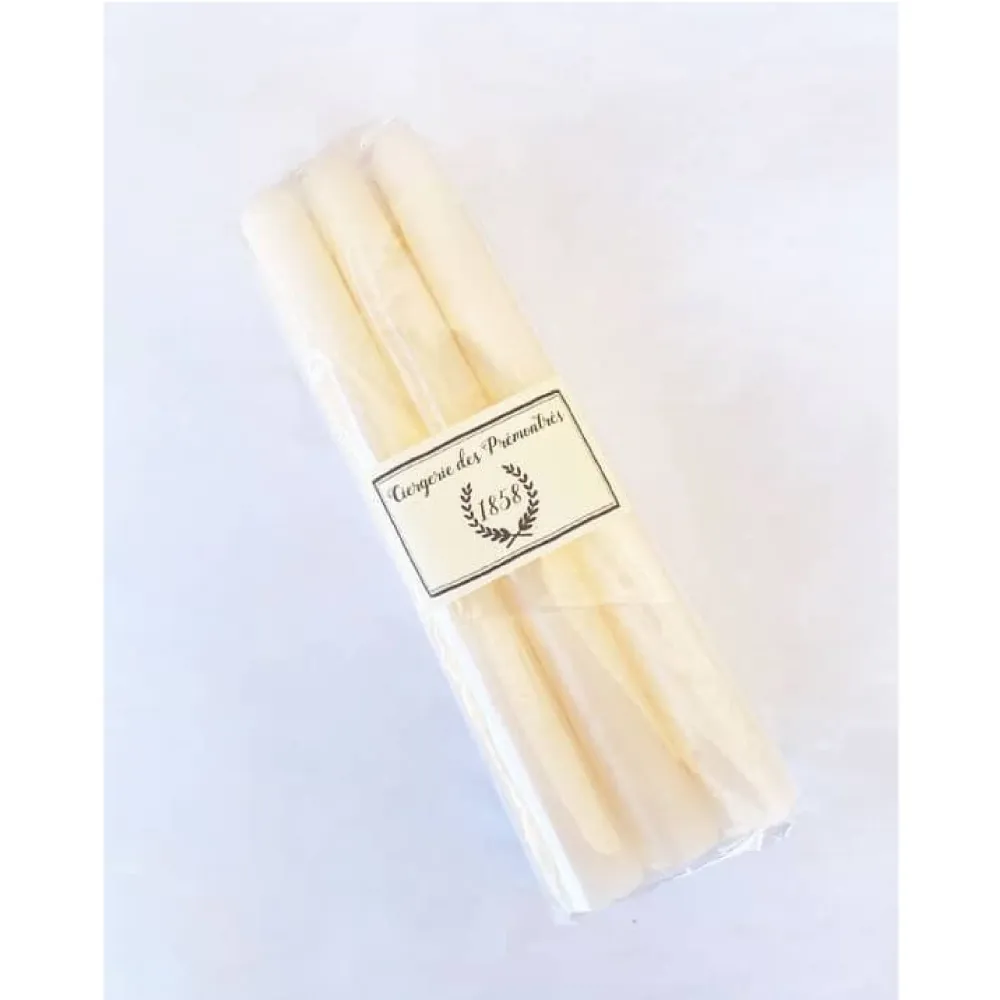 BOUGIES CONIQUES 20 CM - PAPYRUS