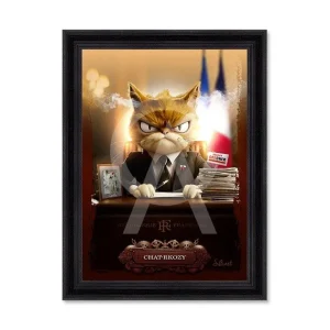 CHAT-RKOSY SYLVAIN BINET 62X82
