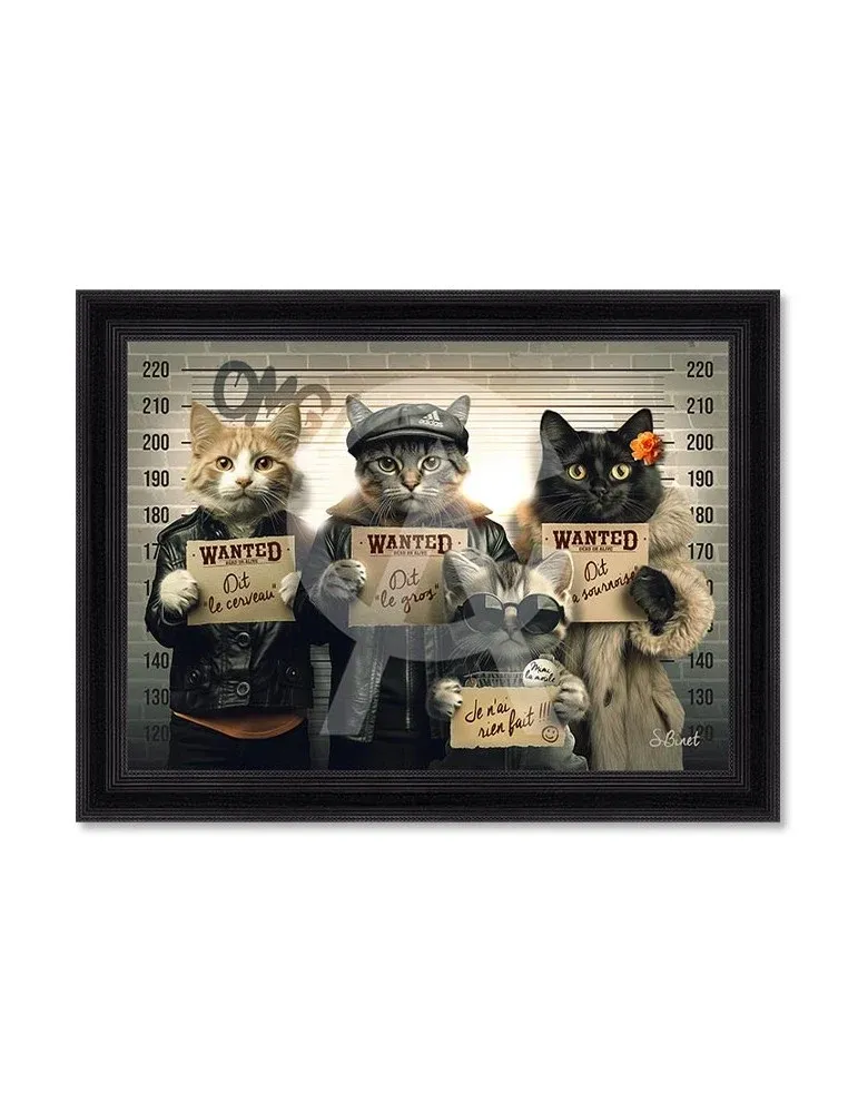 CHATS VOLEURS SYLVAIN BINET 82X62