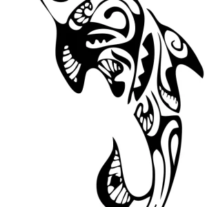 Dauphin maori