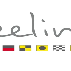 Feeling drapeaux 2