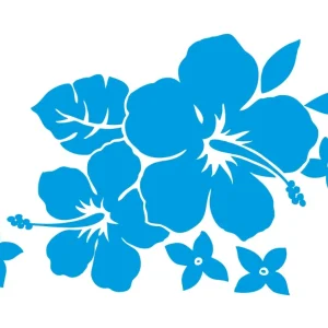 Fleur hibiscus