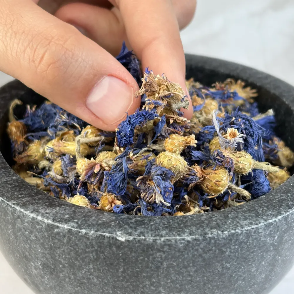 Fleurs de Bleuet