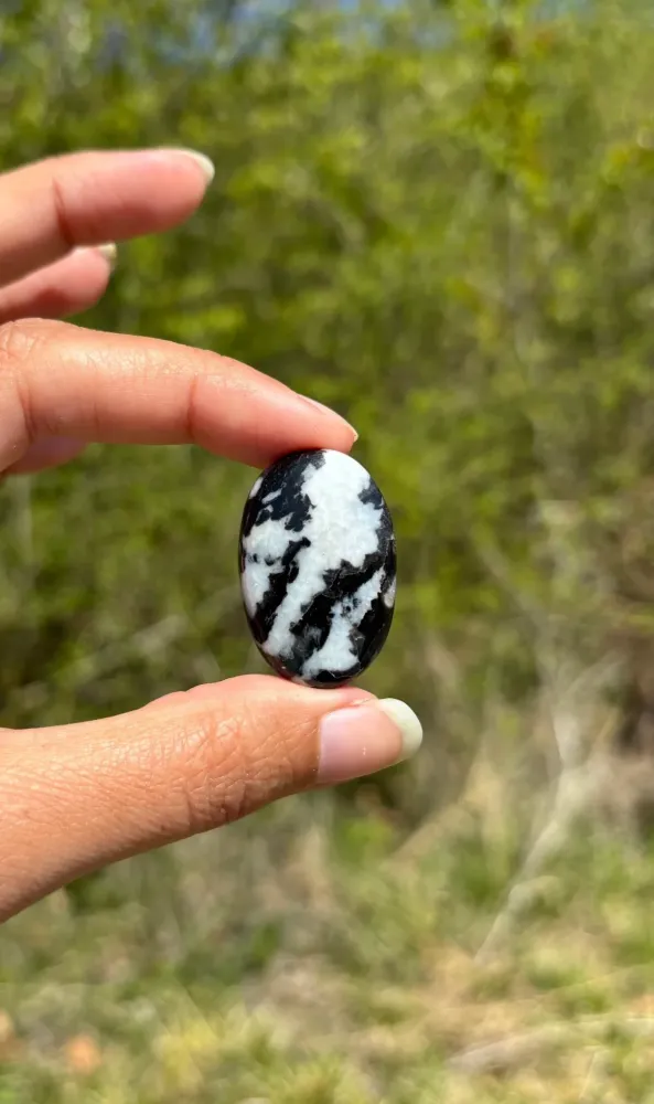 Jaspe Zebré 5