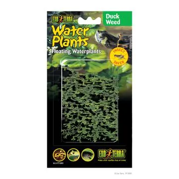 Lentille d'eau flottante Water Plants Exo Terra