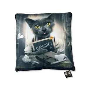 LOT DE 2 COUSSINS CHAT CANCRE BINET