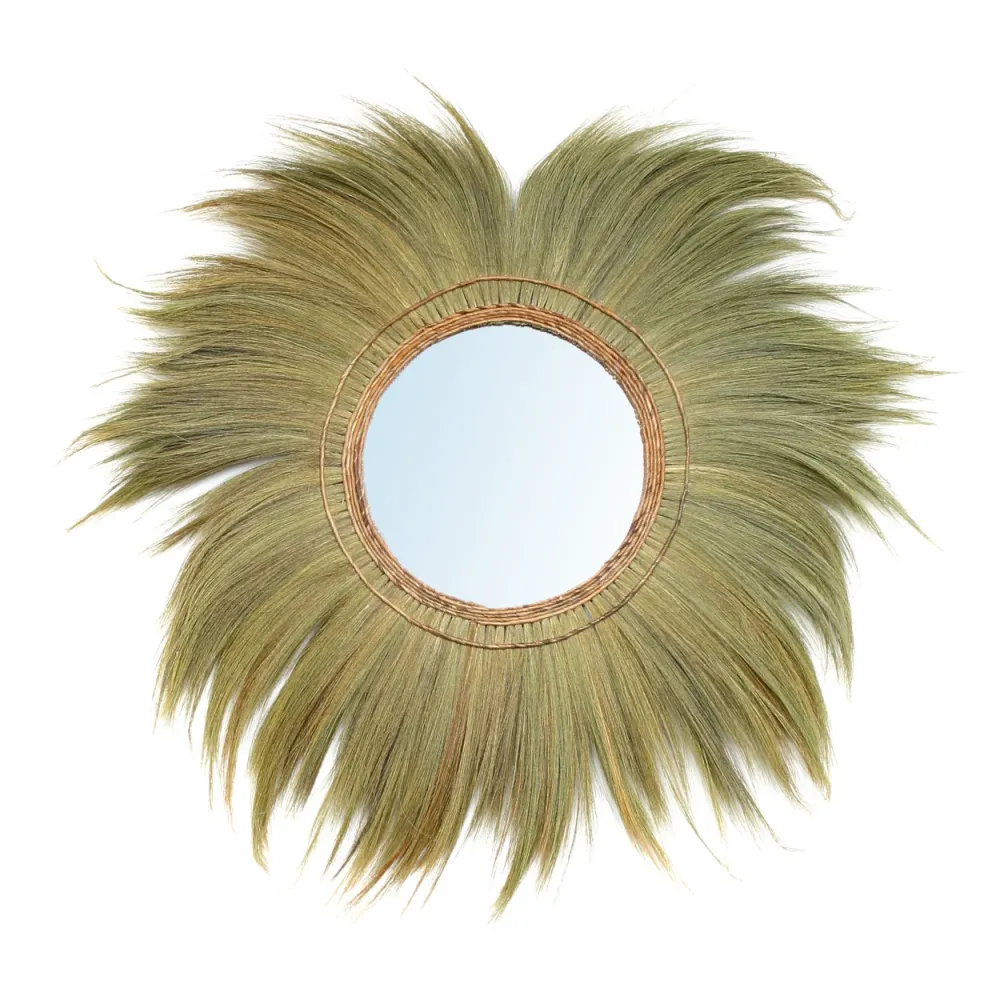 MUFASA Miroir