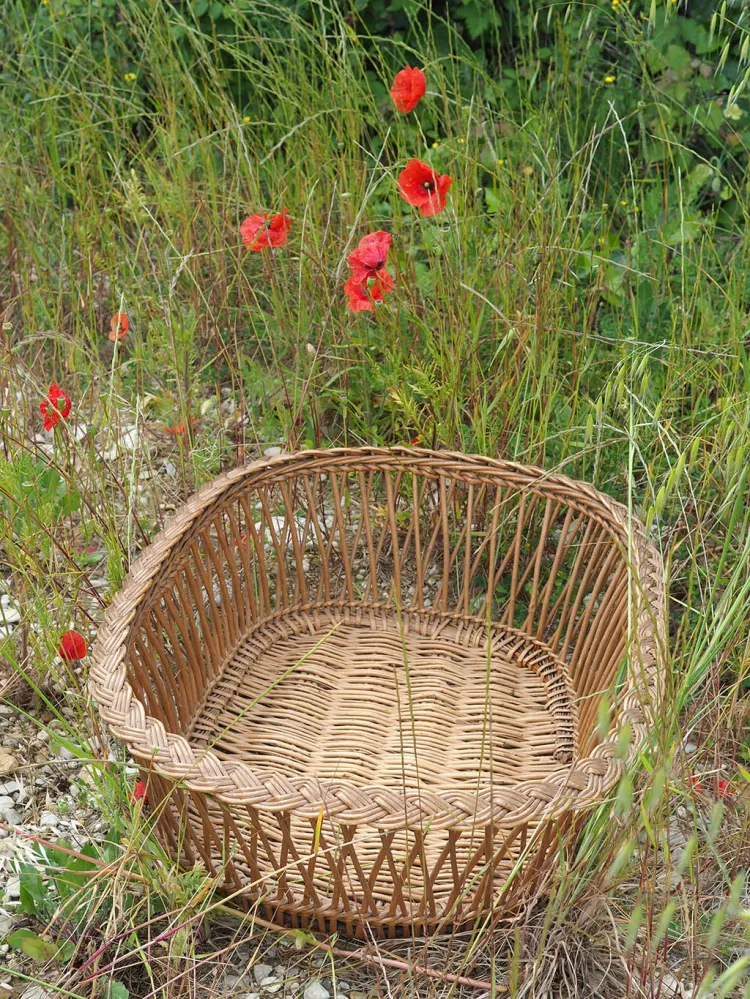 Panier en osier