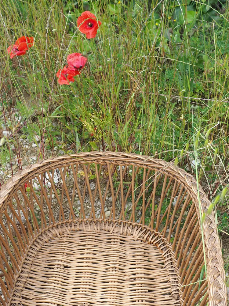 Panier en osier