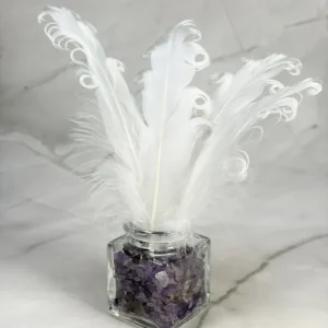 Plume d'oie blanche frisée