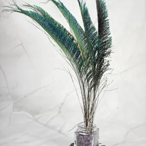 Plume de paon épée