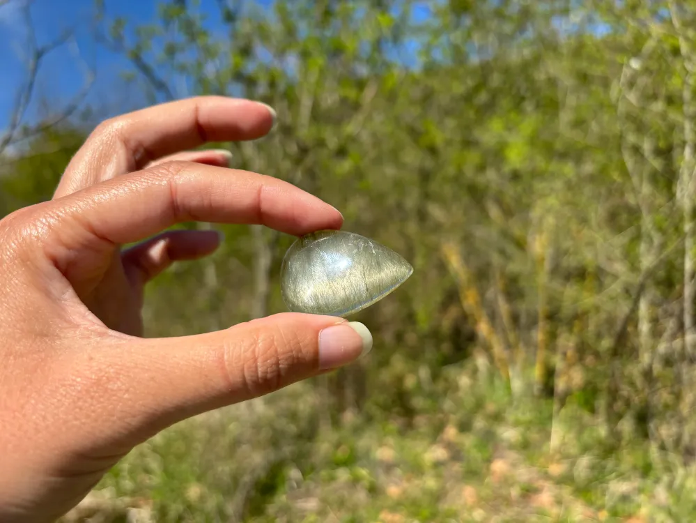 Quartz à Actinolite 6