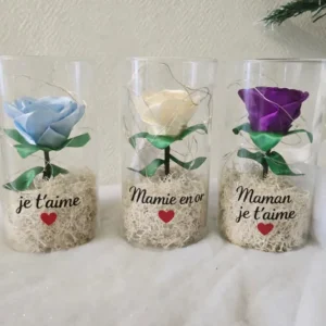 Rose éternelle lumineuse personnalisée dans vase en verre