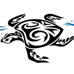 Tortue avec vagues