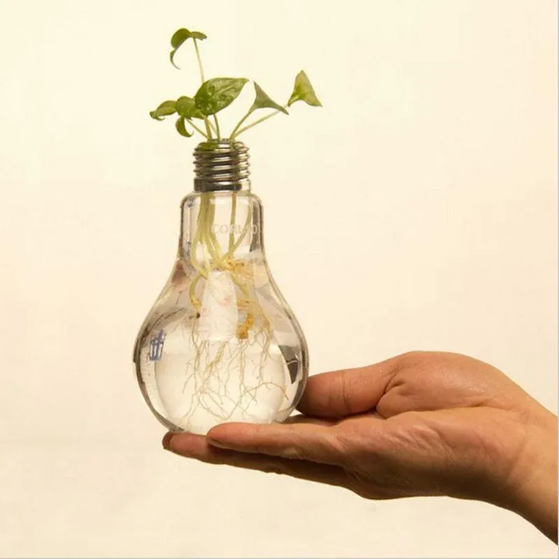 Vase pour fleurs hydroponiques en verre transparent avec ampoule électrique