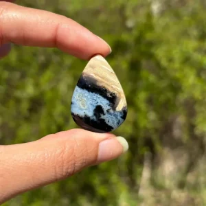 VENDU Bois fossilisé 10