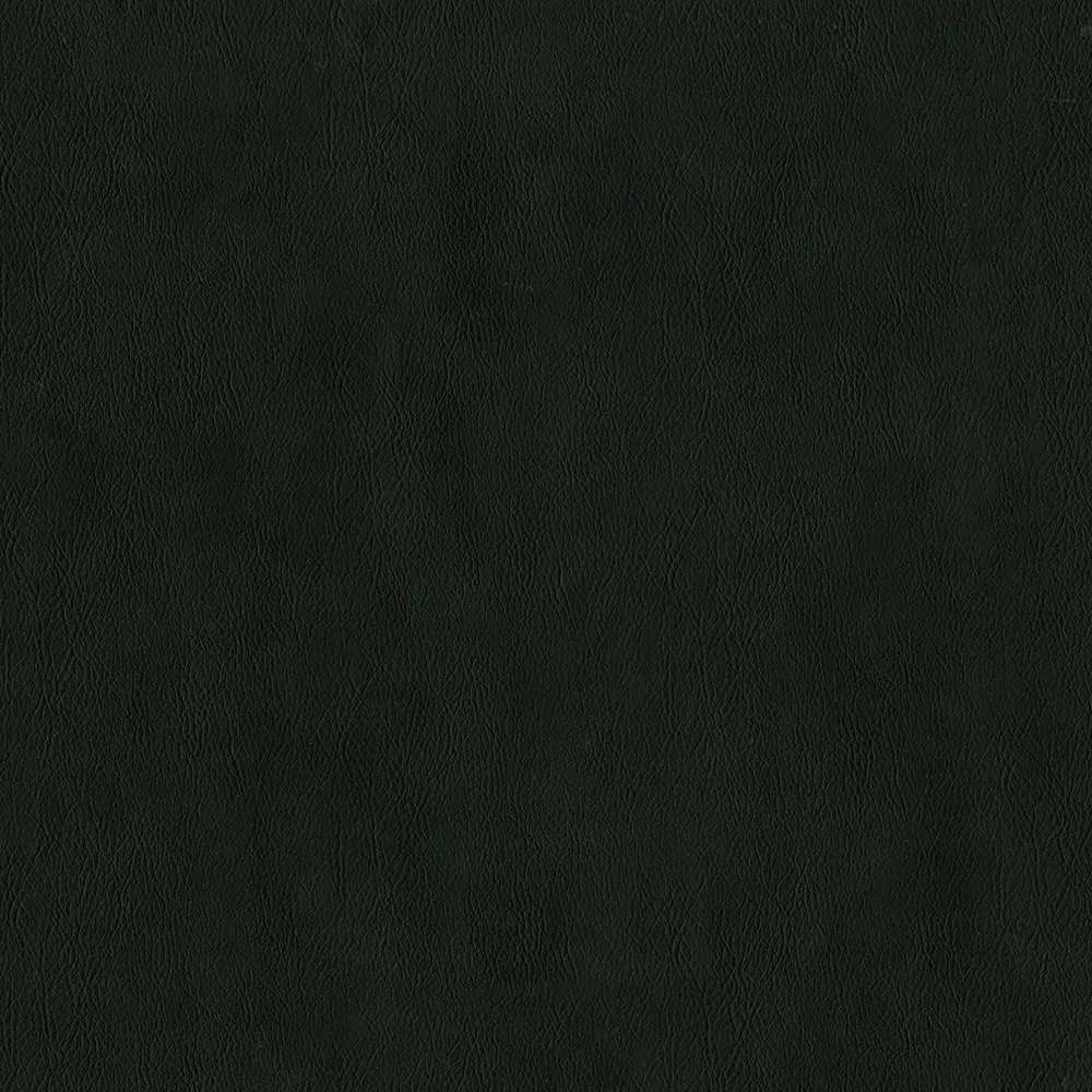 VINYLE à REMBOURRAGE - GUARDIAN - CORBEAU