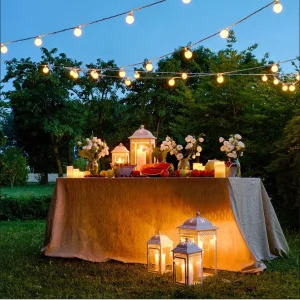 GUIRLANDE LUMINEUSE LED LOTTI