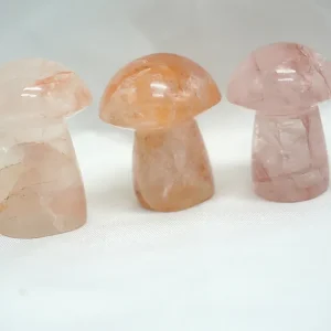 CHAMPIGNON QUARTZ HEMATOIDE ROUGE