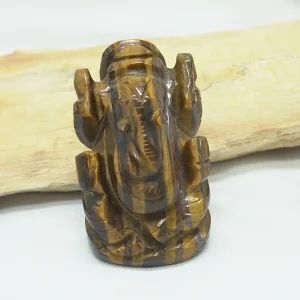 GANESH OEIL DE TIGRE