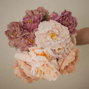 PIVOINE LONDON Soft Eucalypt Co.