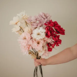 PIVOINE SAUVAGE Deep Eucalypt Co.