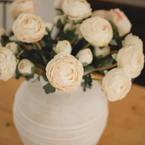 RANUNCULUS Single Eucalypt Co.