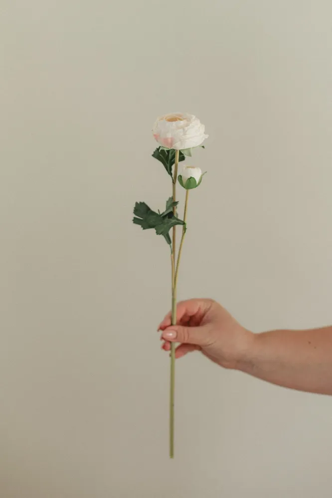RANUNCULUS Single Eucalypt Co.