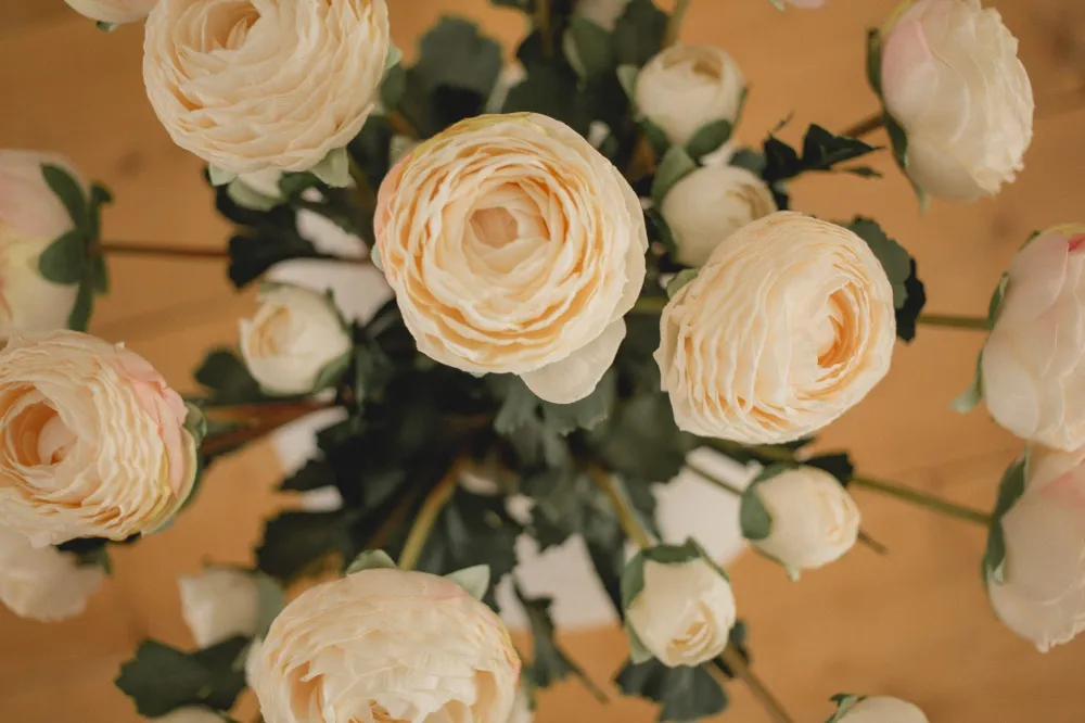 RANUNCULUS Single Eucalypt Co.