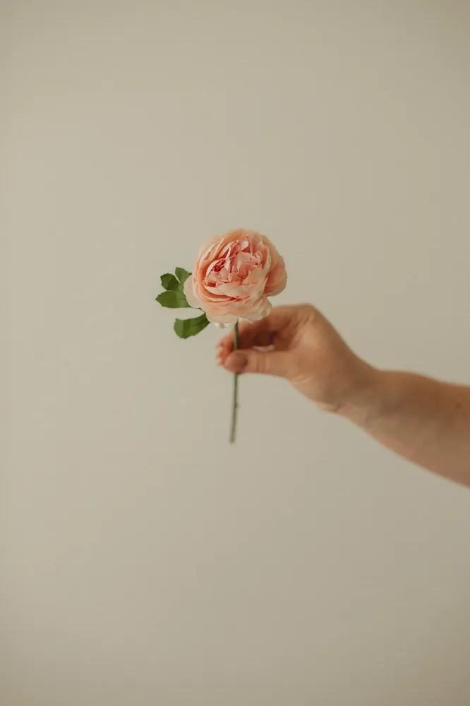 ROSE ANGLAISE ARTIFICIELLE SUR TIGE White Eucalypt Co.