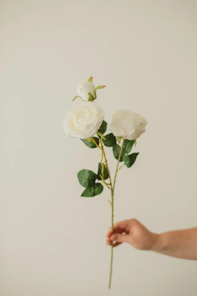 ROSE ITALIENNE ARTIFICIELLE White Eucalypt Co.