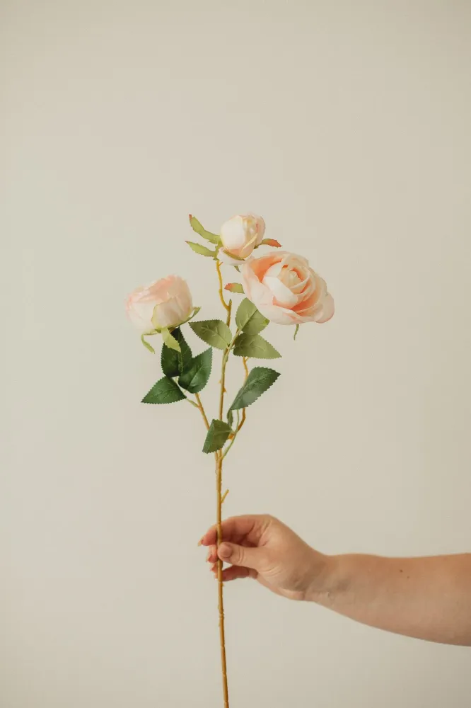 ROSE ITALIENNE ARTIFICIELLE White Eucalypt Co.