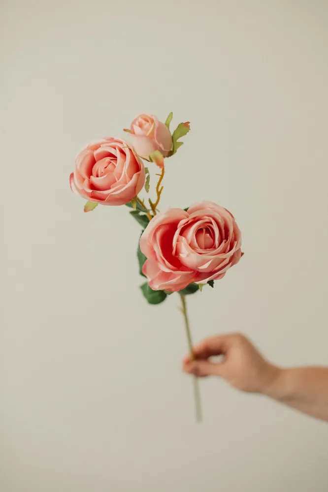 ROSE ITALIENNE ARTIFICIELLE White Eucalypt Co.