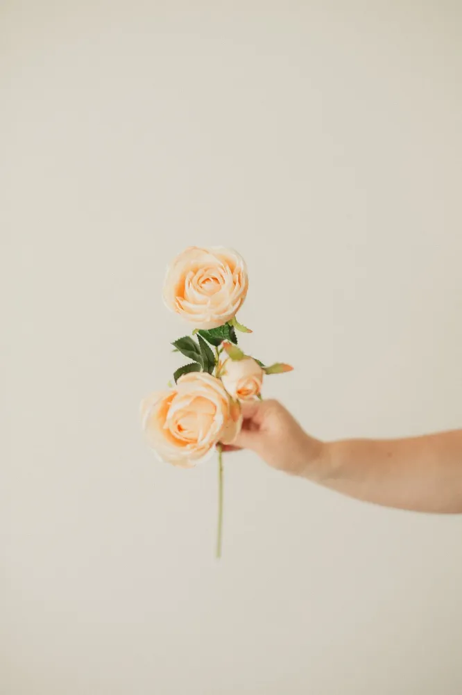 ROSE ITALIENNE ARTIFICIELLE White Eucalypt Co.