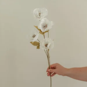 TIGE DE COQUELICOT Deep Eucalypt Co.