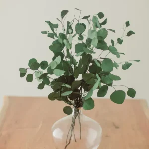 BOUQUET D'EUCALYPTUS Blue Eucalypt Co.