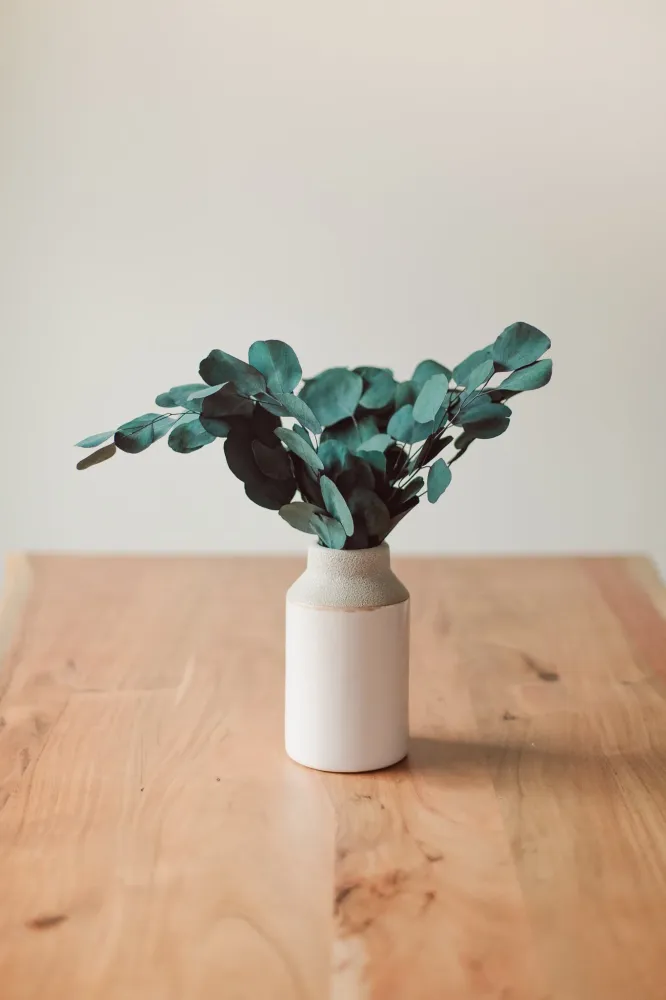 BOUQUET D'EUCALYPTUS Blue Eucalypt Co.