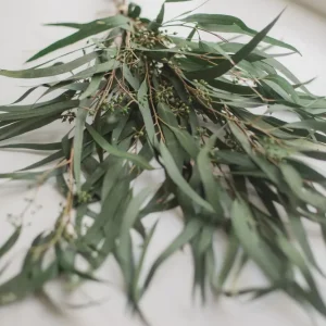BOUQUET DE SAULE EUCALYPTUS PRÉSERVÉ Green Eucalypt Co.