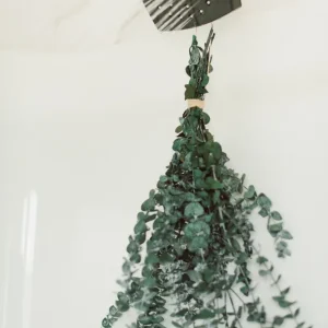 ENSEMBLE DE DOUCHE EN EUCALYPTUS Classic Eucalypt Co.