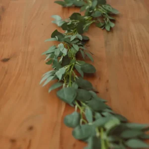 GUIRLANDE D'EUCALYPTUS ET DE SAULE Eucalypt Co.