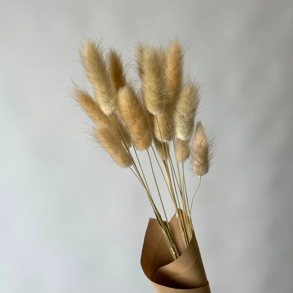 LAGURUS NATURELS Le garde-fleurs