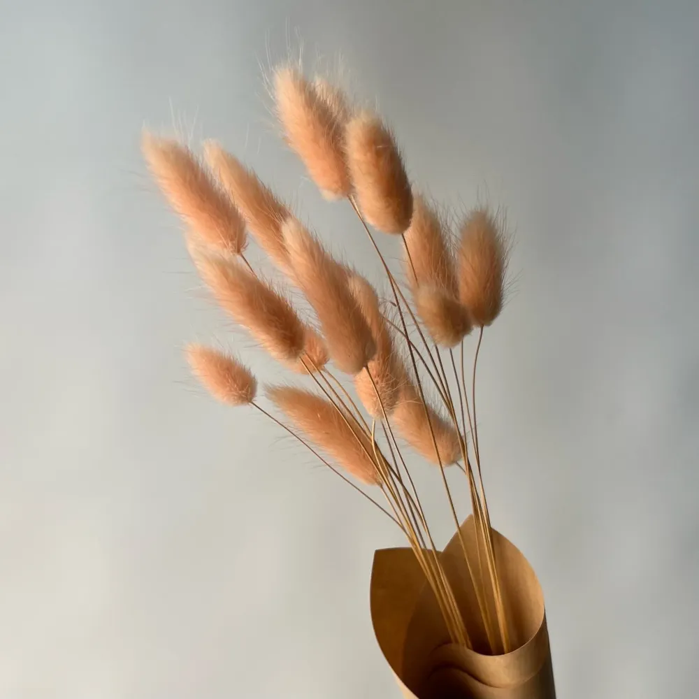 LAGURUS PECHE Le garde-fleurs