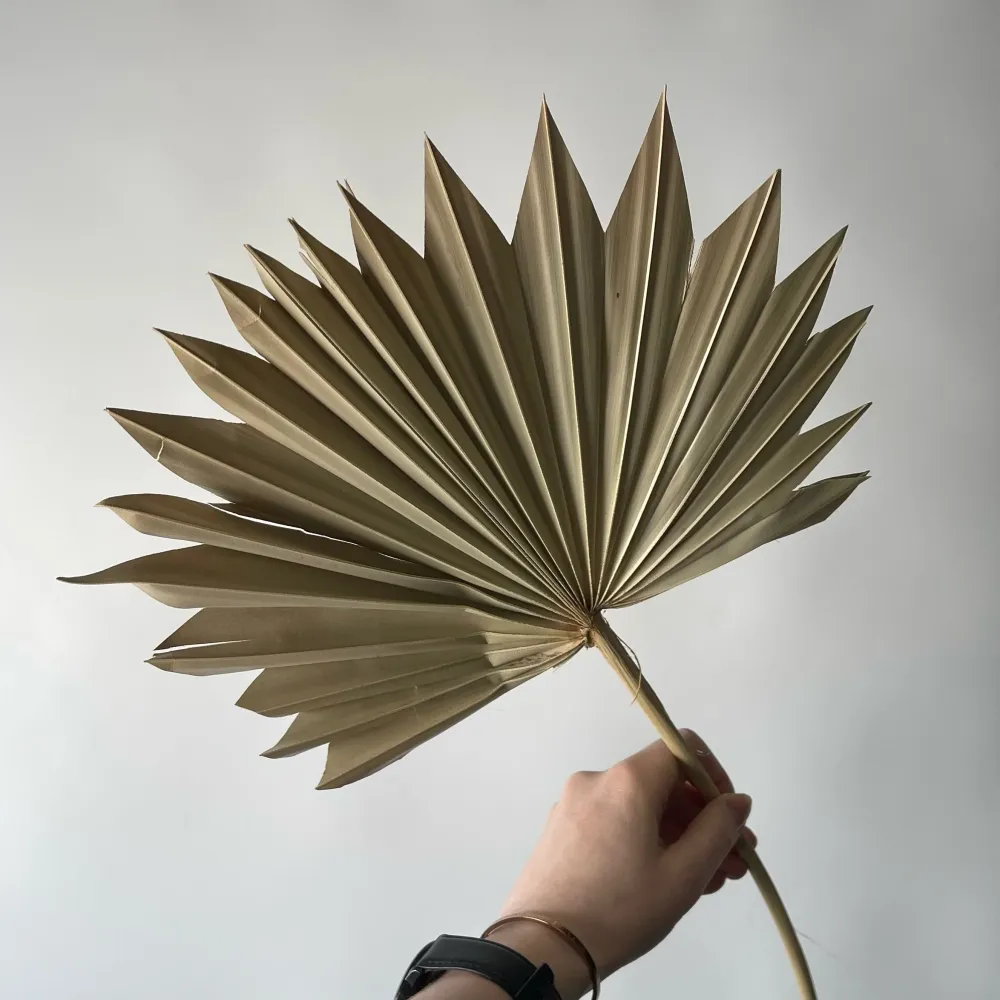 PALMETTO Le garde-fleurs
