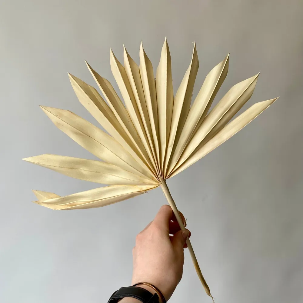 PALMETTO BLANC Le garde-fleurs